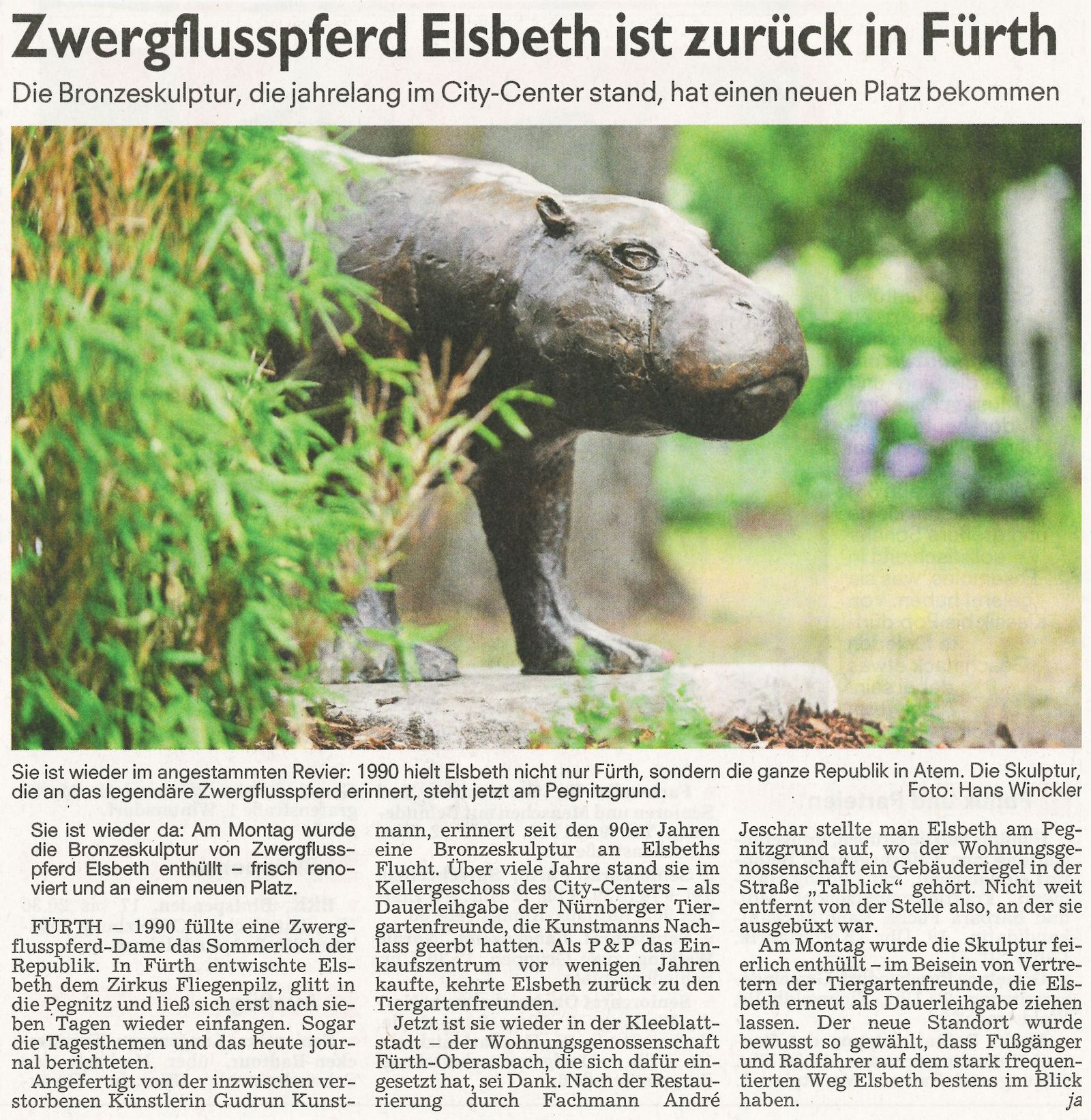 Zwergflusspferd Elsbeth ist zurück in Fürth …