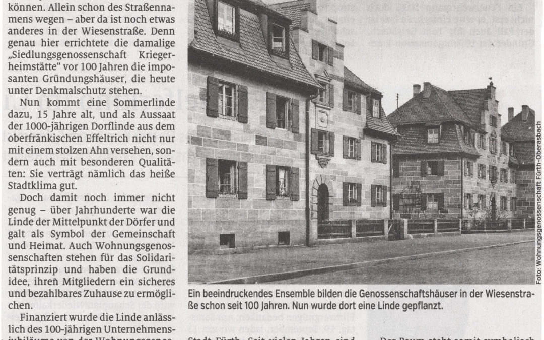 Eine Sommerlinde in bester Lage …